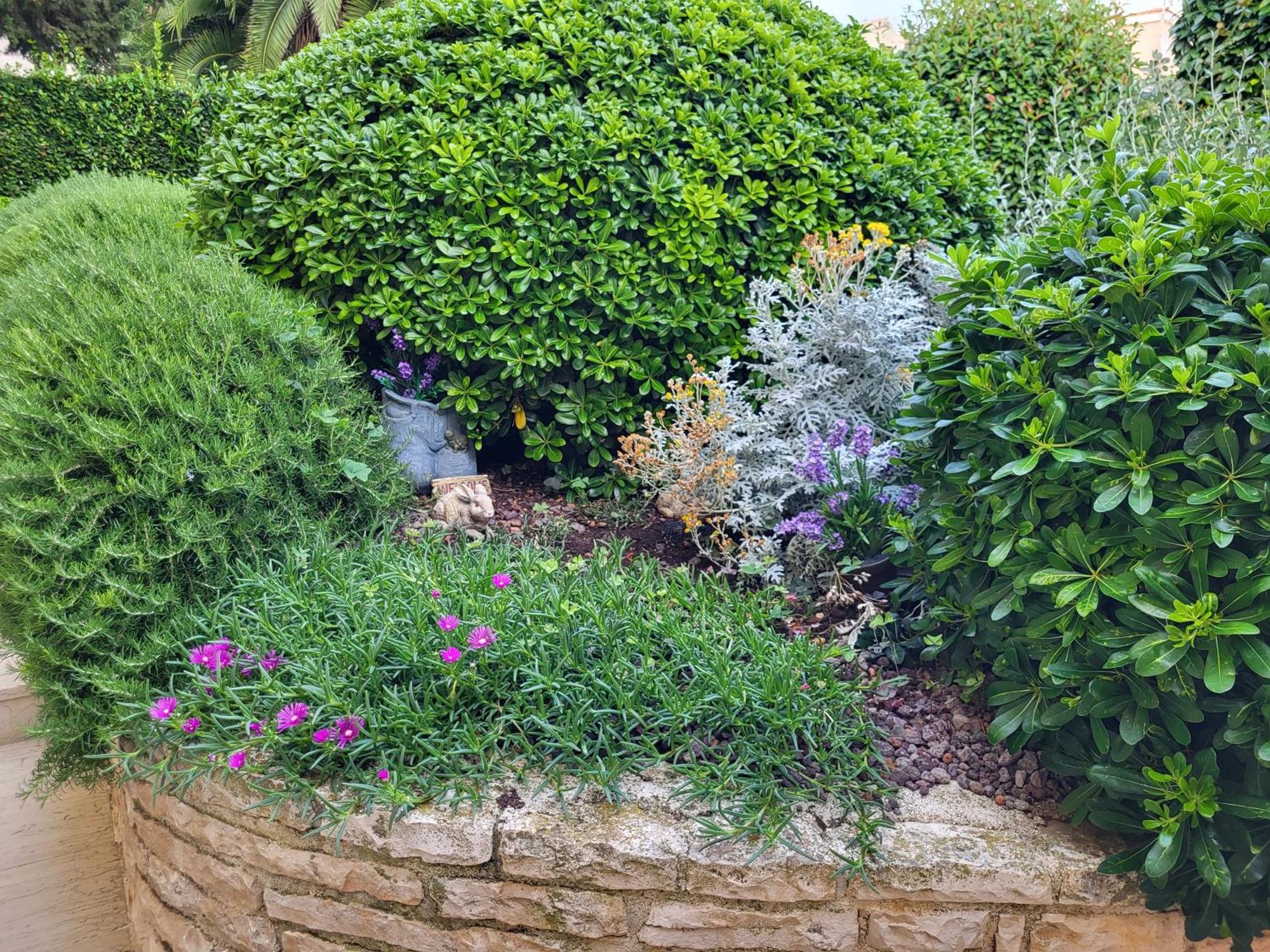 Jasmine With Swimming Pool Villa