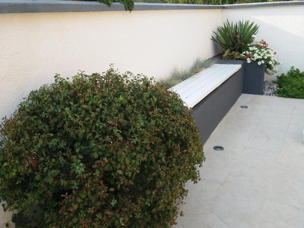 Jasmine With Swimming Pool Villa Pula